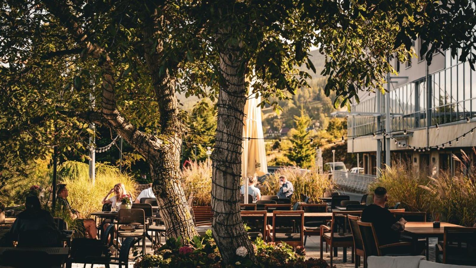 Hotel & Medi-Spa Bialy Kamien Świeradów-Zdrój Exteriör bild